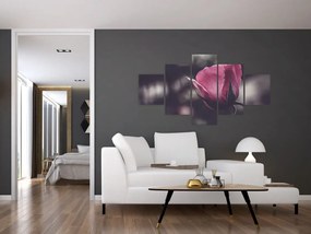 Obraz - Detal kwiatu róży (125x70 cm)