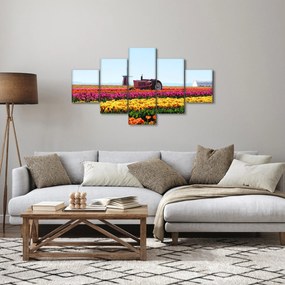 Obraz farmy tulipanów (125x70 cm)