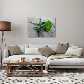 Obraz na szkle - Zielona róża (70x50 cm)