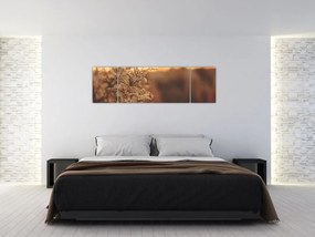 Obraz kwitnącej trawy (170x50 cm)