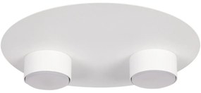 Lampa sufitowa STAR 2xGX53/12W/230V biała
