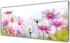 Panel Szklany Wiosenna Łąka na Płótnie