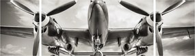 Obraz - Warbird (170x50 cm)
