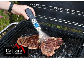Cyfrowy termometr do grilla Cattara BBQ