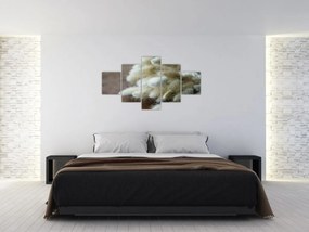 Obraz - Zajęczy ogonek (125x70 cm)