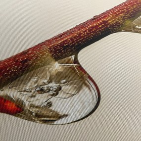 Obraz kropli na gałęzi (170x50 cm)