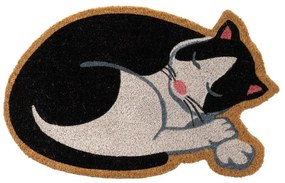 Wycieraczka z włókna kokosowego 40x60 cm Cat – Casa Selección
