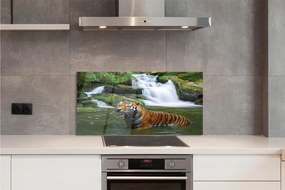 Panel szklany do Kuchni Tygrys nad Górskim Wodospadem