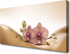 Obraz na płótnie Drzewa w Porannym Słońcu