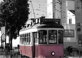 Obraz - Tramwaj (70x50 cm)