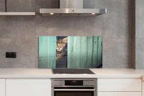 Panel Szklany Ciekawskie Spojrzenie Kota