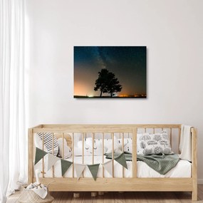 Obraz na szkle - nocne niebo z drzewami (70x50 cm)