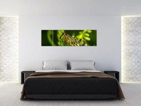 Obraz owada (170x50 cm)