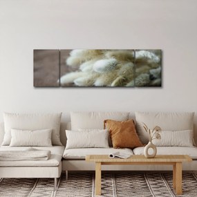 Obraz - Zajęczy ogonek (170x50 cm)