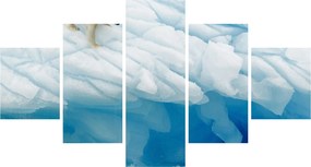 Obraz - Niedźwiedź polarny (125x70 cm)