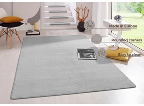 Jasnoszary dywan 200x280 cm Fancy – Hanse Home