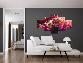 Obraz kwiatów malwy (125x70 cm)