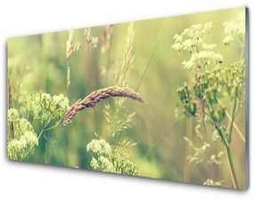 Panel Szklany Dzikie Rośliny Natura