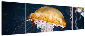 Obraz meduzy (170x50 cm)
