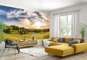 Fototapeta - Łąka (196x136 cm)