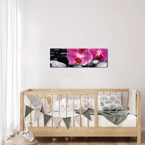 Obraz - Różowe orchidee z liściem palmy (z zegarem) (90x30 cm)