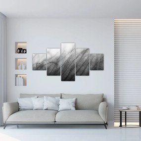 Obraz - Trawa na wietrze (125x70 cm)