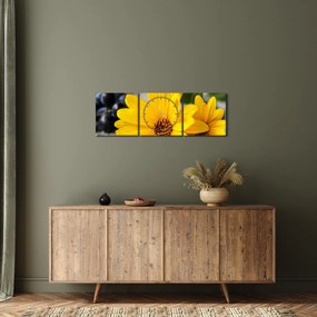 Obraz żółtych kwiatów (z zegarem) (90x30 cm)