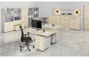 Szafa biurowa z drzwiami PRIMO GRAY, 2 półki, 1027 x 800 x 640 mm, szary/dąb naturalny