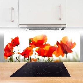 Szkło Ozdobne do Kuchni Krwistoczerwone Maki na Polu