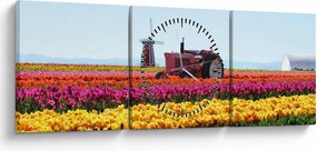 Obraz farmy tulipanów (z zegarem) (90x30 cm)