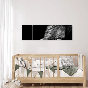 Obraz - Kły słonia (170x50 cm)