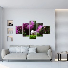Obraz - Muszla ślimaka (125x70 cm)