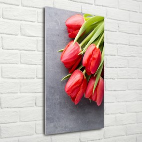 Foto obraz na szkle Czerwone tulipany