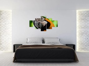 Obraz papugi (125x70 cm)