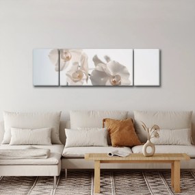 Obraz białej orchidei (170x50 cm)