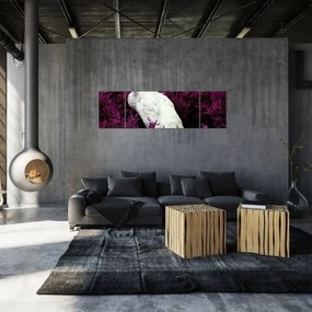 Obraz - Biały paw (170x50 cm)