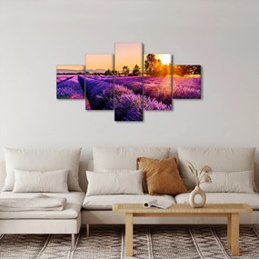 Obraz lawendowego pola (125x70 cm)