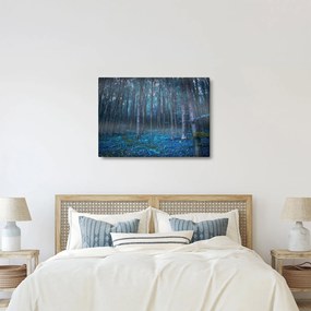 Obraz - Magiczny las (70x50 cm)