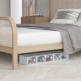 HOMCOM 18-elementowy regał na buty, stabelowane pudełka na buty do rozmiaru 45, magnetyczne drzwi, tworzywo sztuczne, 28 x 36 x 21 cm