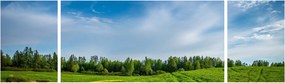 Obraz łąki (170x50 cm)