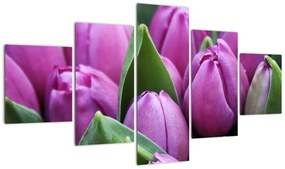 Obraz - kwiaty tulipanów (125x70 cm)