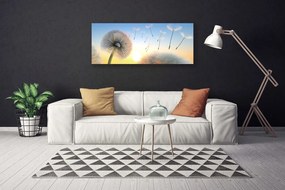 Obraz canvas Puszyste Parasolki Dmuchawca