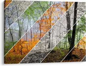 Obraz - Zmieniające się pory roku (70x50 cm)