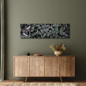 Obraz - Zamrożone rośliny (170x50 cm)