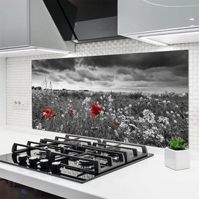 Panel Szklany Sielska Polana Kwiatowa