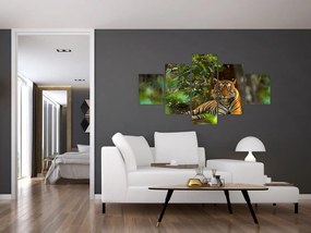 Obraz odpoczywającego tygrysa (125x70 cm)