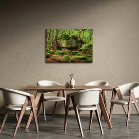 Obraz magicznego lasu (70x50 cm)