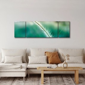 Obraz źdźbła trawy (170x50 cm)