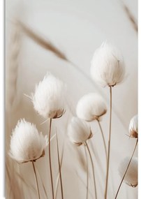 Obraz łodygi bawełny