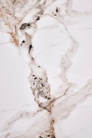 Stolik kawowy CARINA 80x80 beżowy marmur/orzechowy HALMAR